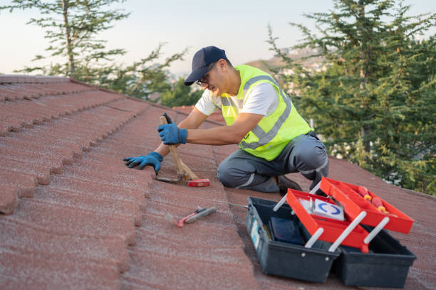 Best Roof Gutter Cleaning  in Kingston, TN